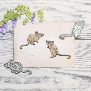 Gummiapan - Die - Mus