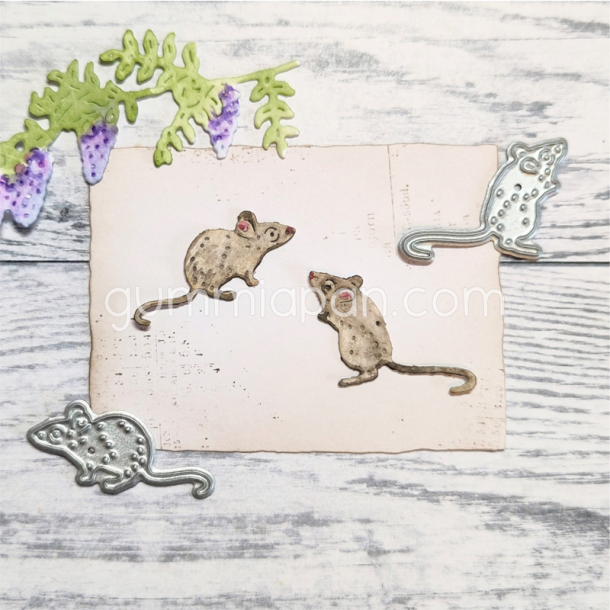 Gummiapan - Die - Mus