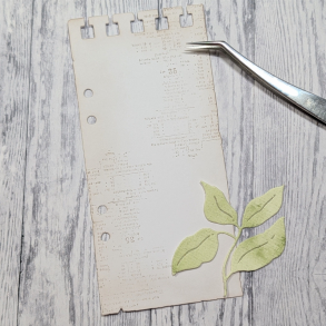 Gummiapan - Die - SlimLine Note