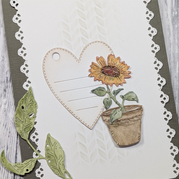 Gummiapan - Die - Solsikke i potte