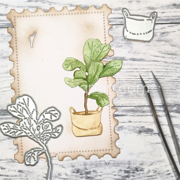 Gummiapan - Die - Stor plante i s�k