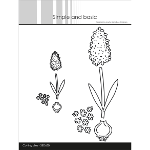 Simple and Basic - Die - Hyacinter
