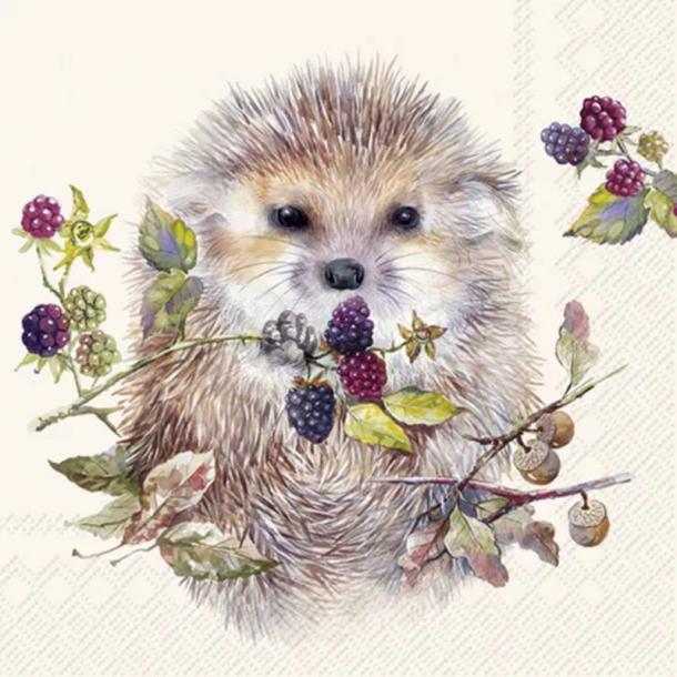 IHR - Frokostservietter - Forest Hedgehog / Skovpindsvin Creme