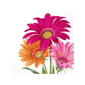 IHR - Kaffeservietter - Joyful Gerbera White - 20stk