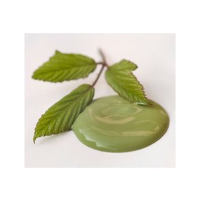 Vintage Paint - Kalkmaling - Lavish Lime - 100ml