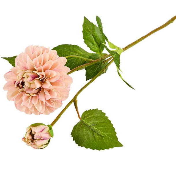 Silkeblomst - Dahlia + knop - Rosa - 55 cm