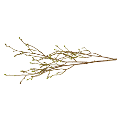 Silkeblomst - Gren med knopper - 100 cm