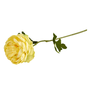 Silkeblomst - Ranunkel - Gul - 38 cm