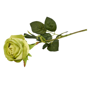 Silkeblomst - Rose - Gr�n - 60 cm