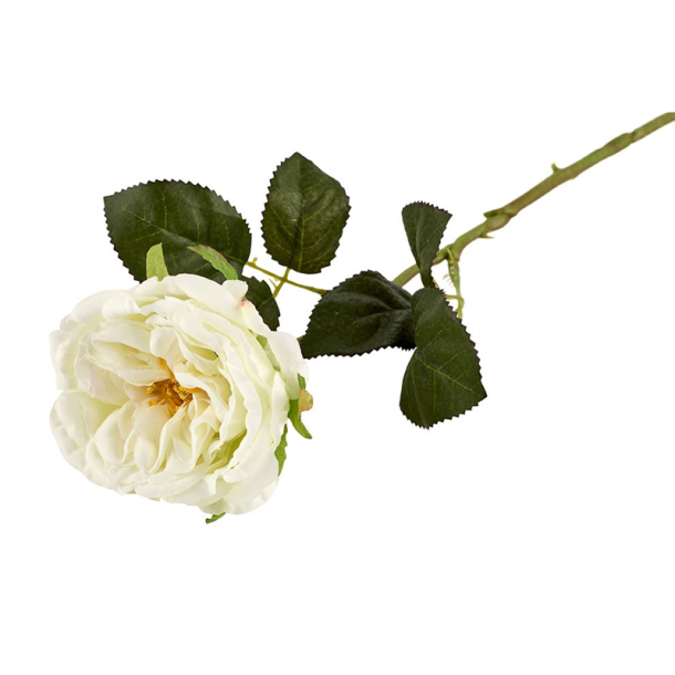 Silkeblomst - Rose - Hvid - 35 cm