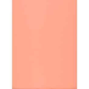 Mosgummi - A4 - Beige/fersken