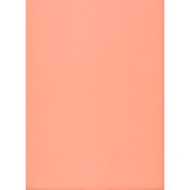 Mosgummi - A4 - Beige/fersken