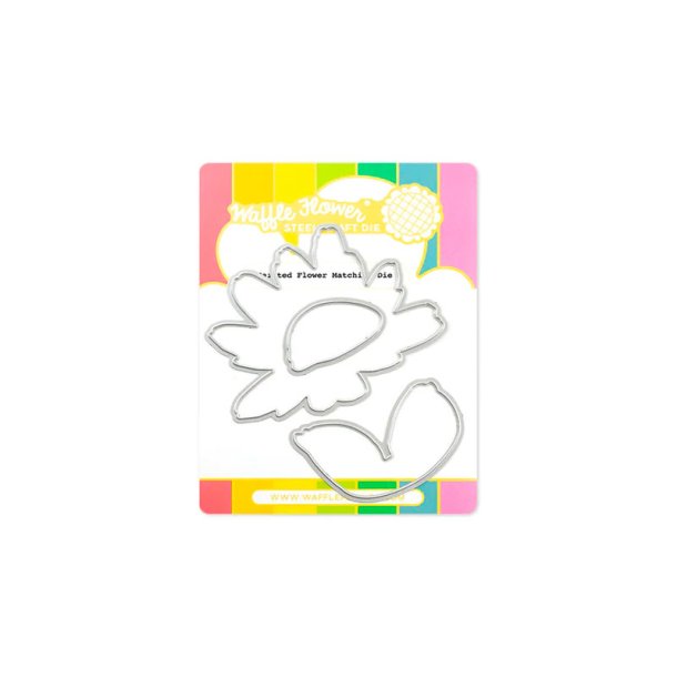 Waffle Flower - Die - Painted Flower