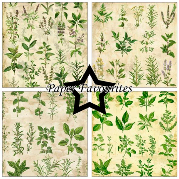 Paper Favourites - Blok 12'' - Kitchen Herbs / Kkkenurter