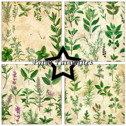 Paper Favourites - Blok 12'' - Kitchen Herbs / Kkkenurter