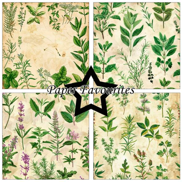 Paper Favourites - Blok 12'' - Kitchen Herbs / Kkkenurter