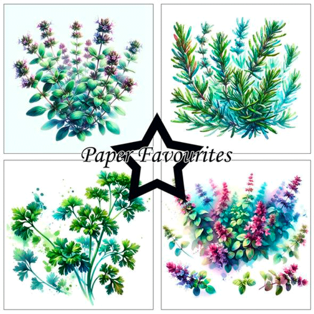 Paper Favourites - Blok 6'' - Herbs / Urter