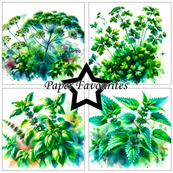 Paper Favourites - Blok 6'' - Herbs / Urter