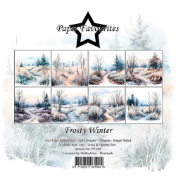 Paper Favourites - Blok 6'' - Frosty Winter / Frossen vinter