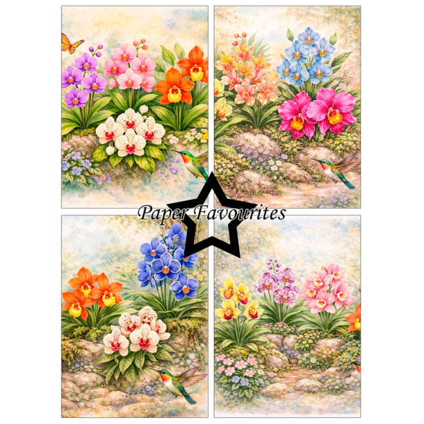 Paper Favourites - Blok A6 - Orchidea / Orkideer