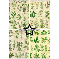 Paper Favourites - Blok A5 - Kitchen Herbs / Kkkenurter