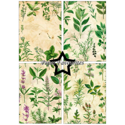 Paper Favourites - Blok A5 - Kitchen Herbs / Kkkenurter