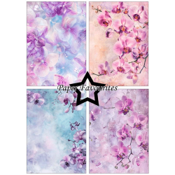 Paper Favourites - Blok A5 - Orchidea / Orkideer