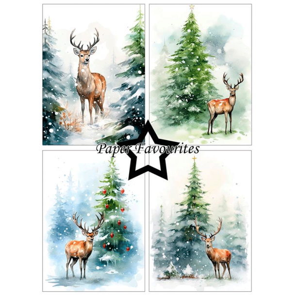 Paper Favourites - Blok A6 - Reindeer / Rdyr
