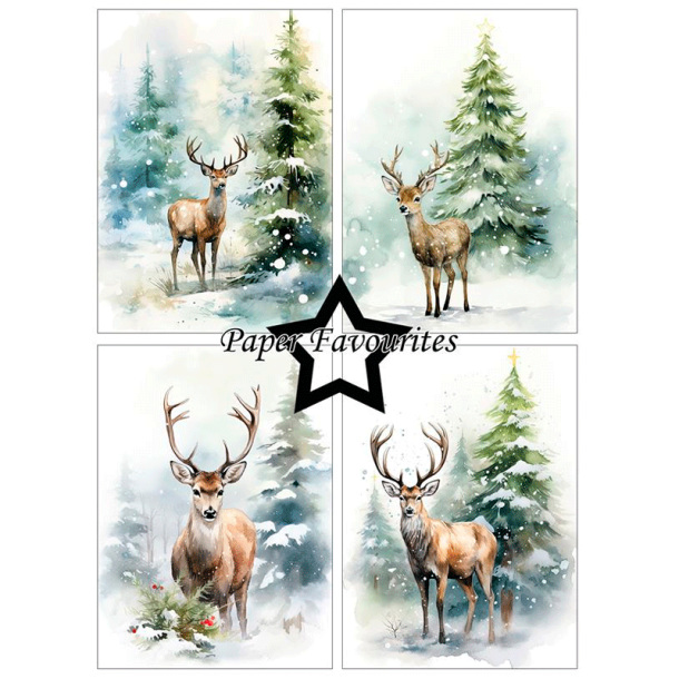 Paper Favourites - Blok A6 - Reindeer / Rdyr