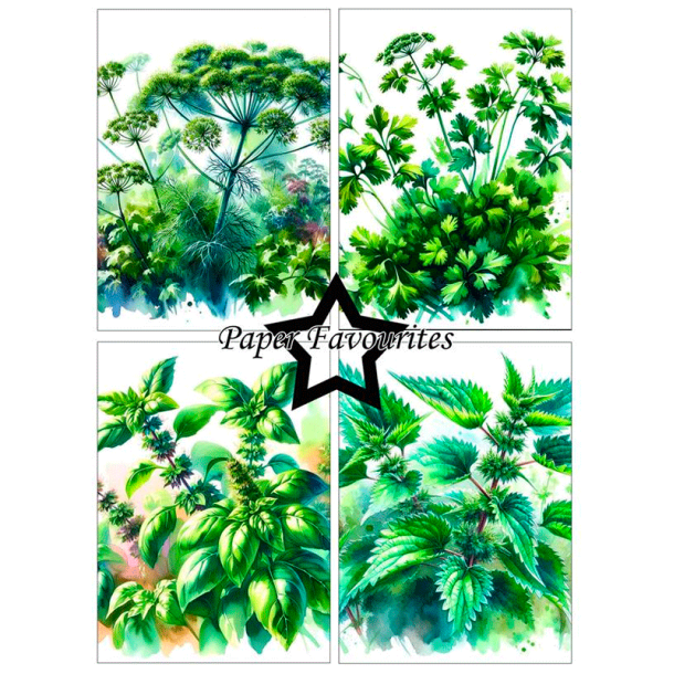 Paper Favourites - Blok A6 - Herbs / Urter