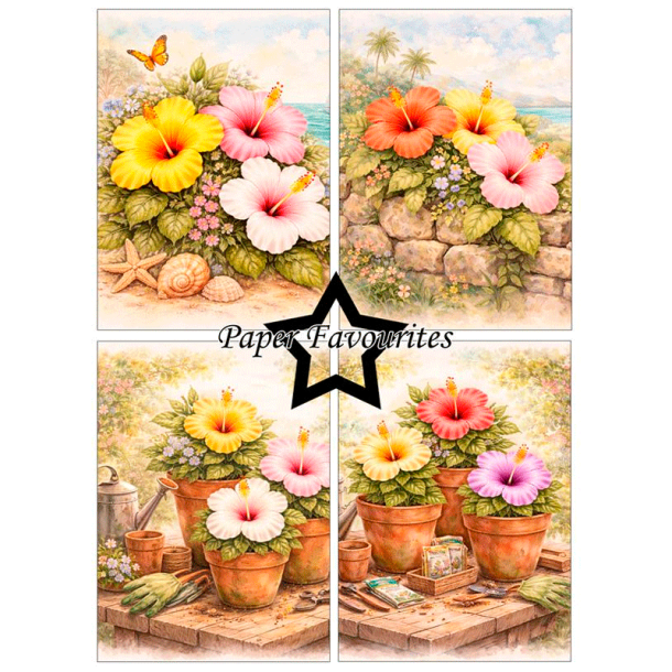 Paper Favourites - Blok A6 - Hibiscus