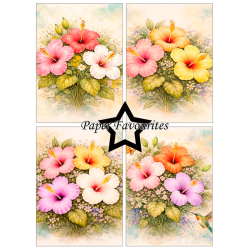 Paper Favourites - Blok A6 - Hibiscus