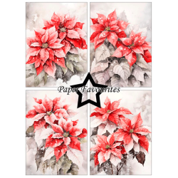Paper Favourites - Blok A6 - Poinsettia / Julestjerne