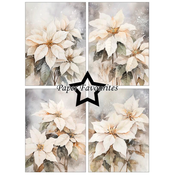 Paper Favourites - Blok A6 - Poinsettia / Julestjerne