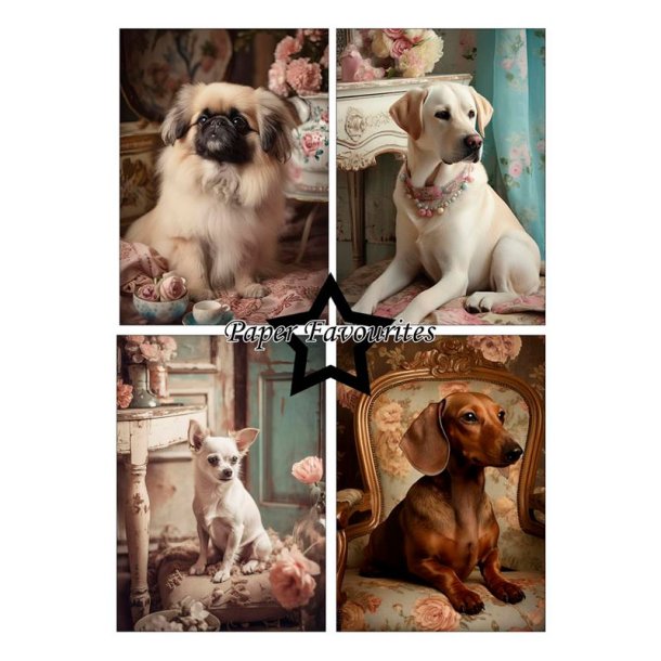 Paper Favourites - Blok A5 - Shabby Dogs