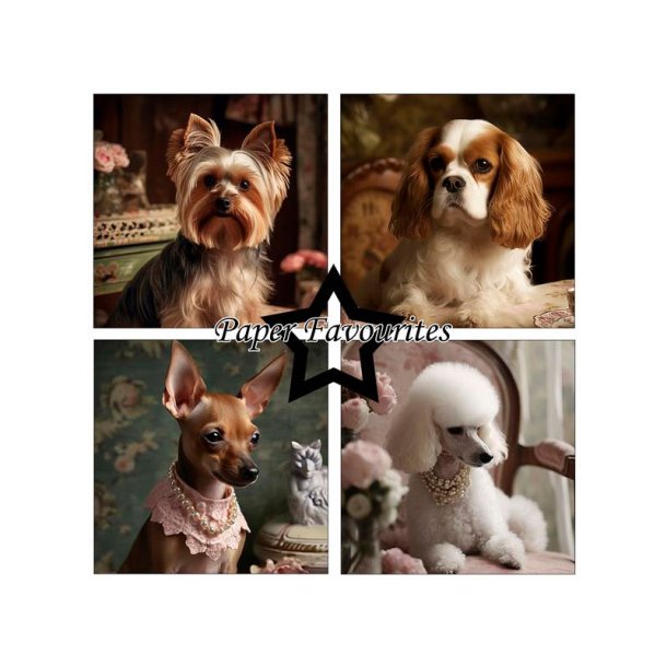 Paper Favourites - Blok 12" - Shabby Dogs