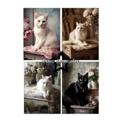 Paper Favourites - Blok A5 - Shabby Cats