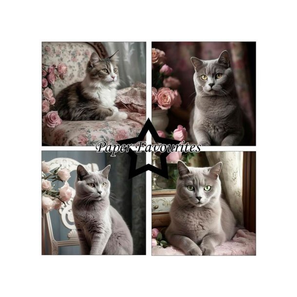 Paper Favourites - Blok 12" - Shabby Cats