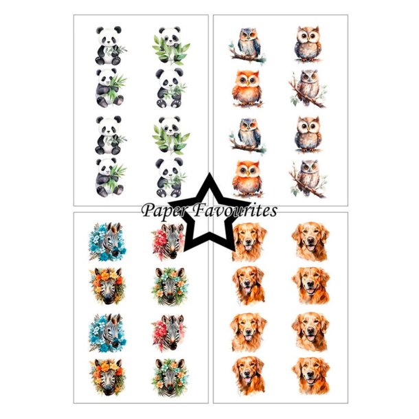 Paper Favourites - Blok A5 - Cute Animals