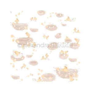Alexandra Renke - Karton - Chicks and nests