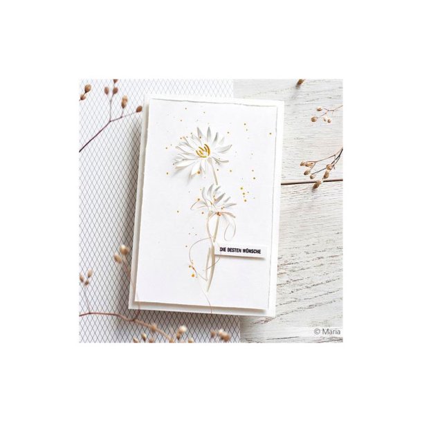 Alexandra Renke - Die - Negativ Blomst #7