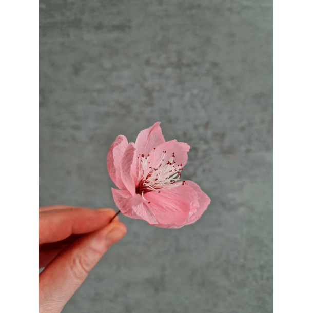 Crepeblomster - Kit - Blomstergren Rosa Mix