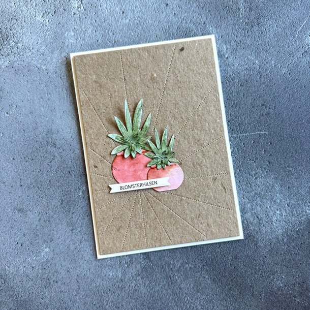 Simple and Basic - Die - Potter og Vaser