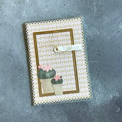 Simple and Basic - Die - Kaktus