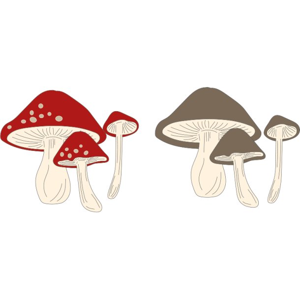 Simple and Basic - Die - Svampe