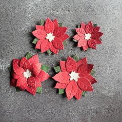 Simple and Basic - Die - Julestjerne