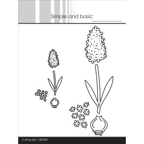 Simple and Basic - Die - Hyacinter