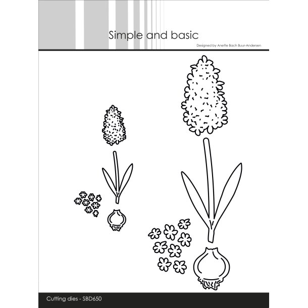 Simple and Basic - Die - Hyacinter