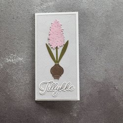 Simple and Basic - Die - Hyacinter