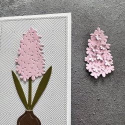 Simple and Basic - Die - Hyacinter